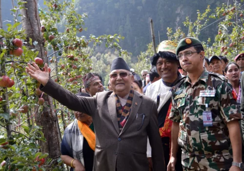 ओलीद्वारा चितवनको नयाँ बस्तीमा मेसिनबाट धान रोपिने